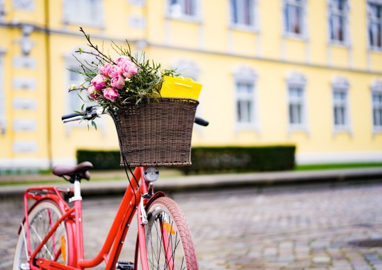 Rotes Fahrrad mit bestücktem Fahrradkorb vor dem Oldenburger Schloss.