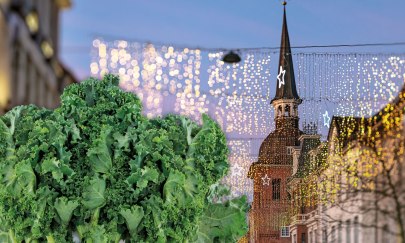 Fotomontage mit Grünkohlpflanze vor der Oldenburger Innenstadt mit Weihnachtsbeleuchtung und Lappanturm.