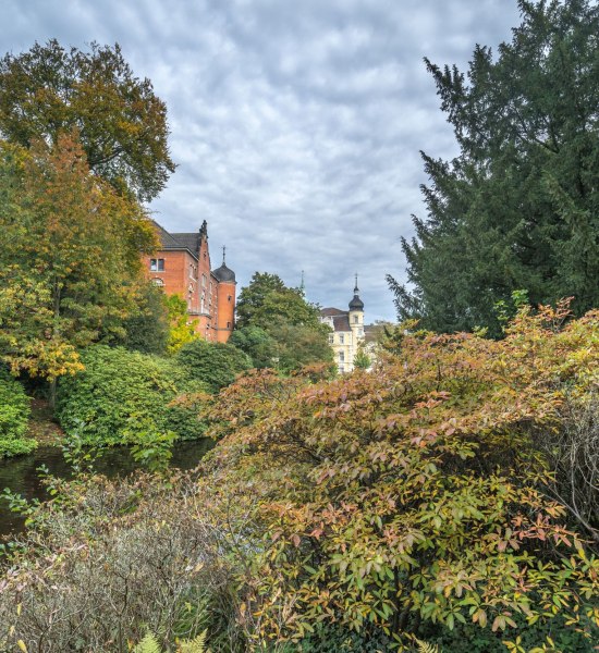 Blick in Richtung Elisabeth-Anna-Palais und Schloss mit herbstlich verfärbten Bäumen und Sträuchern im Schlossgarten. 