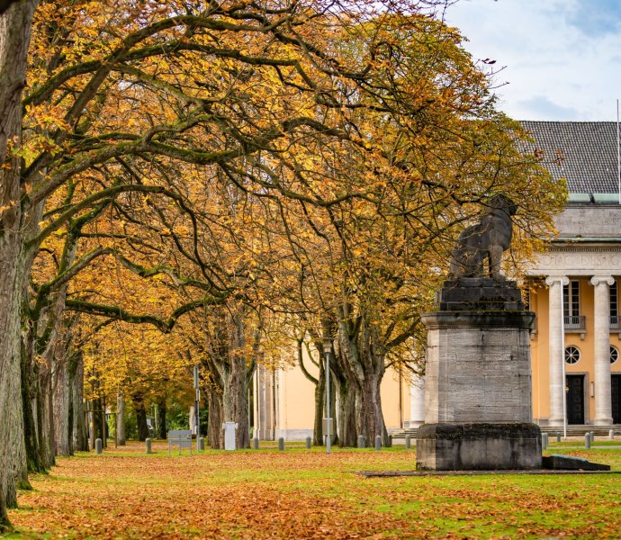 Aufnahme vom Alten Landtag mit herbstlichem Laub im Vordergrund.