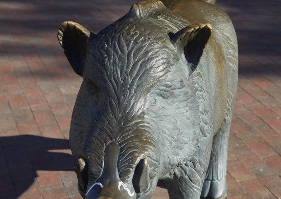 Skulptur eines Ebers auf dem Marktplatz Eversten in Oldenburg.