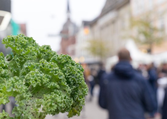 Am ersten Sonntag im November findet unter dem Motto "Hallo Grünkohl" ein Fest in der Innenstadt statt. Parallel öffnen die Geschäfte zum verkaufsoffenen Sonntag. 