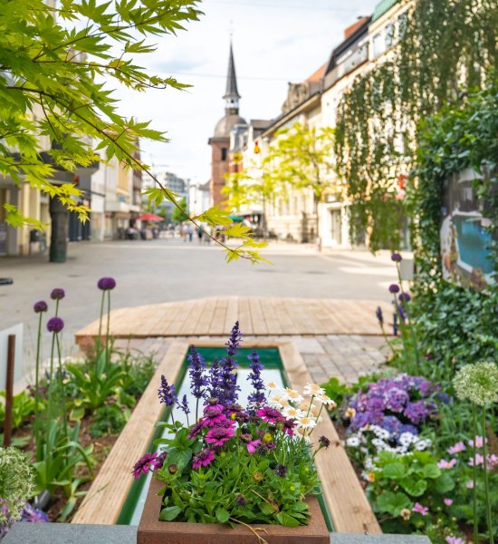 Der Blick aus einem Stadtgarten in Richtung Lappan aus dem Jahr 2019.
