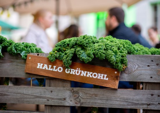 Grünkohlpflanze mit Dekoration und Menschen in Gemeinschaft im Hintergrund auf der Veranstaltung "Hallo Grünkohl" in Oldenburg.