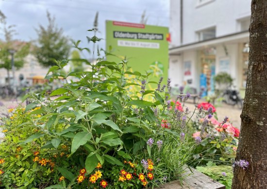 Stadtgarten-Beet mit Blick in die Stadt.