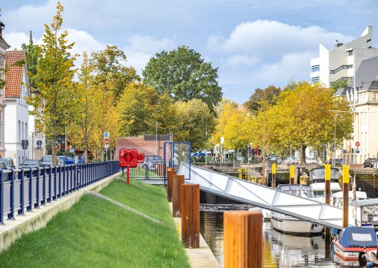 Blick vom Hafen in Richtung Innenstadt mit herbstlich verfärbten Laubbäumen am Stau. 