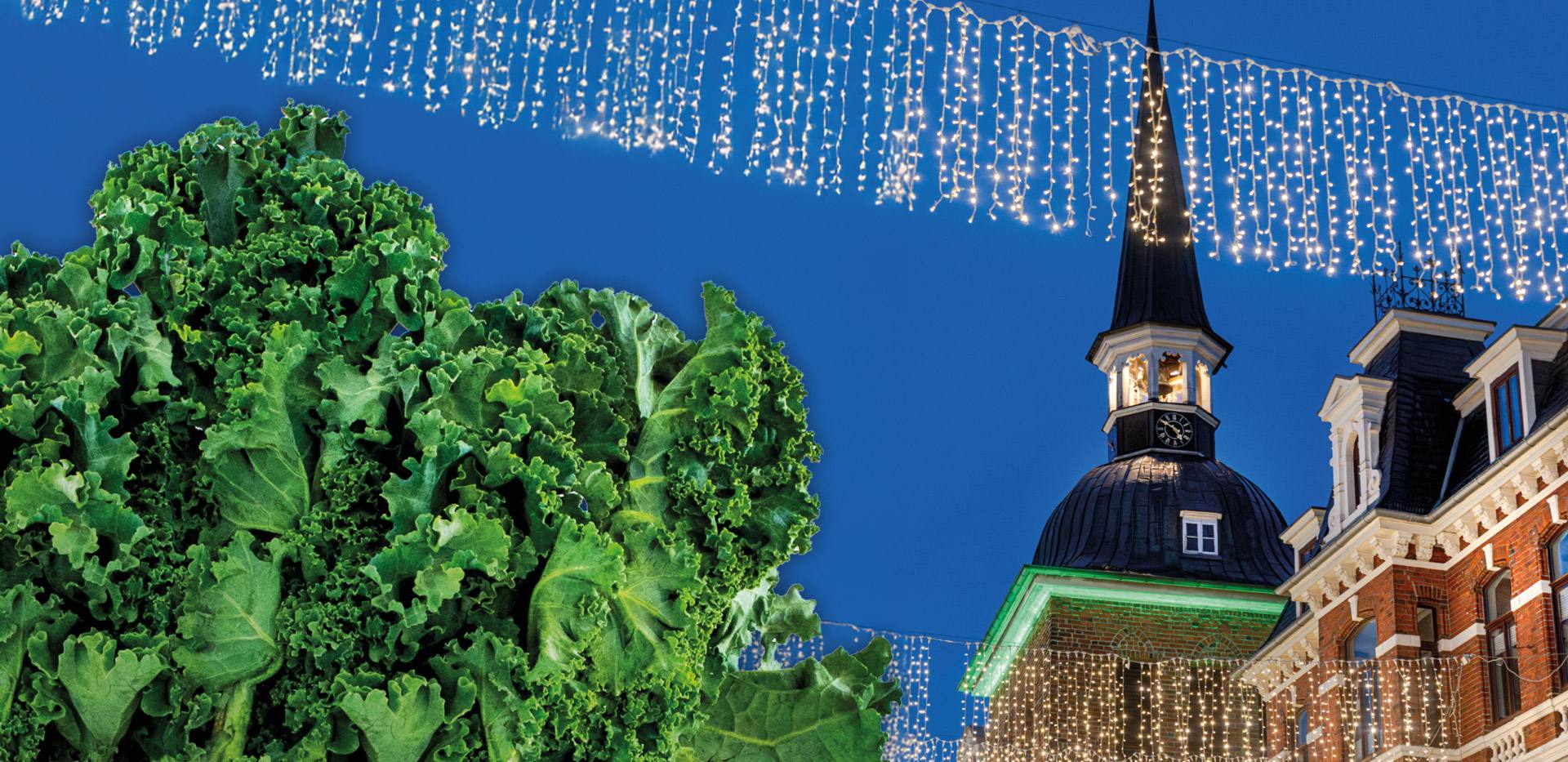 Gröönkohl-Tied am Lappan Grünkohl vor dem Lappan und Weihnachtsbeleuchtung in Oldenburg