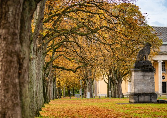 Blick auf die herbstlich verfärbte Baumallee in Richtung Alter Landtag. 