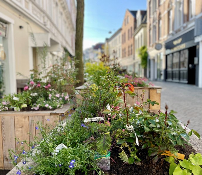 Blick in die Haarenstraße mit einem Stadtgartenbeet im Vordergrund.